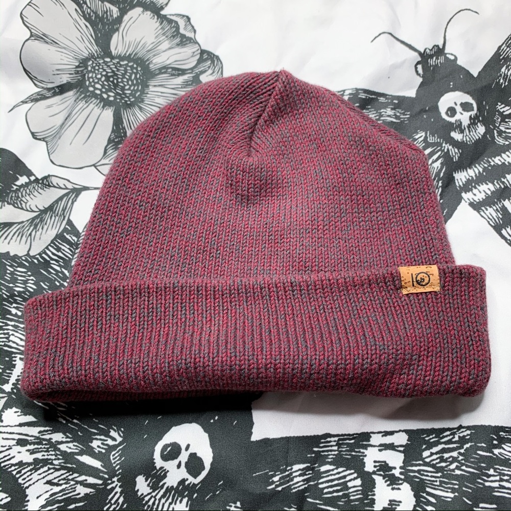 Tentree beanie